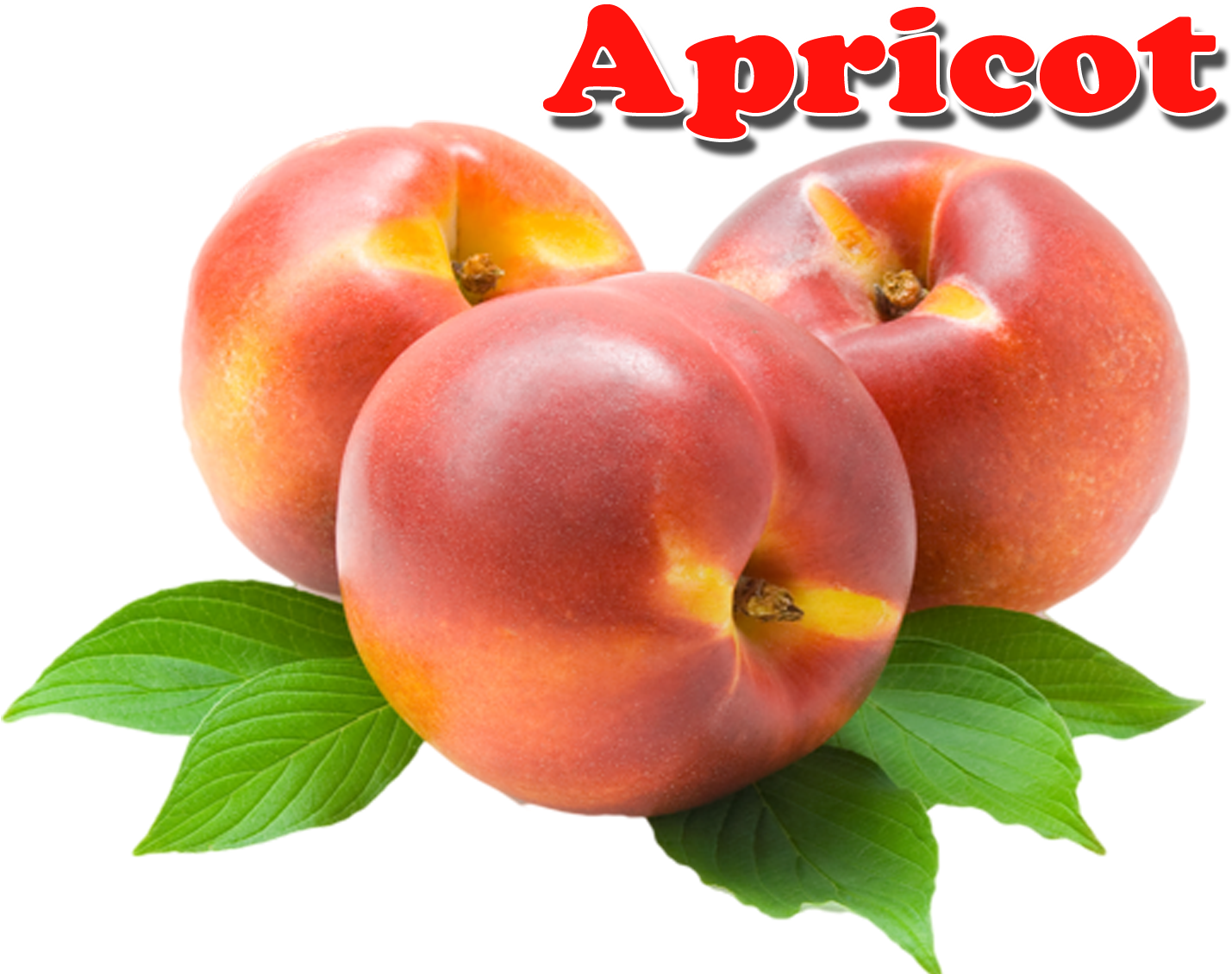 Apricot Png - Portable Network Graphics (1648x1200)