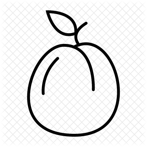 Apricot Icon - Line Art (512x512)