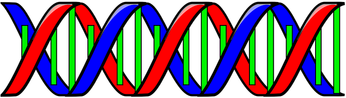 Dna Genetic Code Double Helix Science Biol - Double Helix Clip Art (680x340)