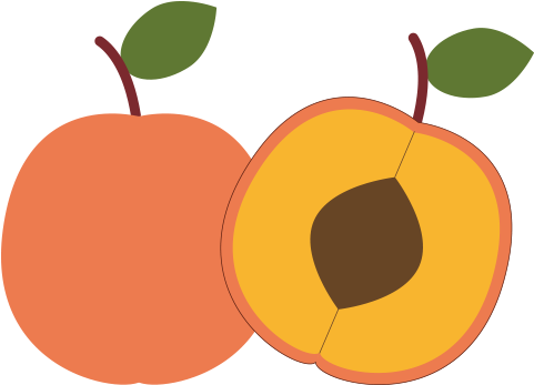 Apricots - Armenian Plum (842x421)