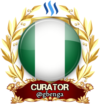 Packet Curator Nigerian @gbenga - Curator (350x351)