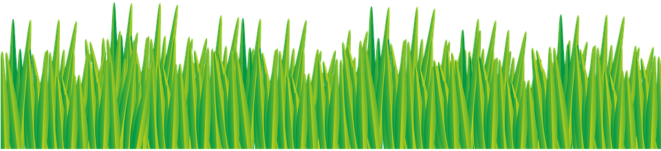 Gambar Vektor Gratis - Водоросли Картинки Для Детей (960x480)