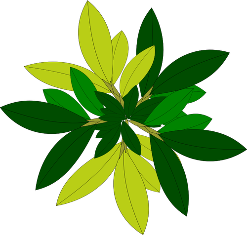 Daun Pohon - Tree Vector Top View Png (500x476)