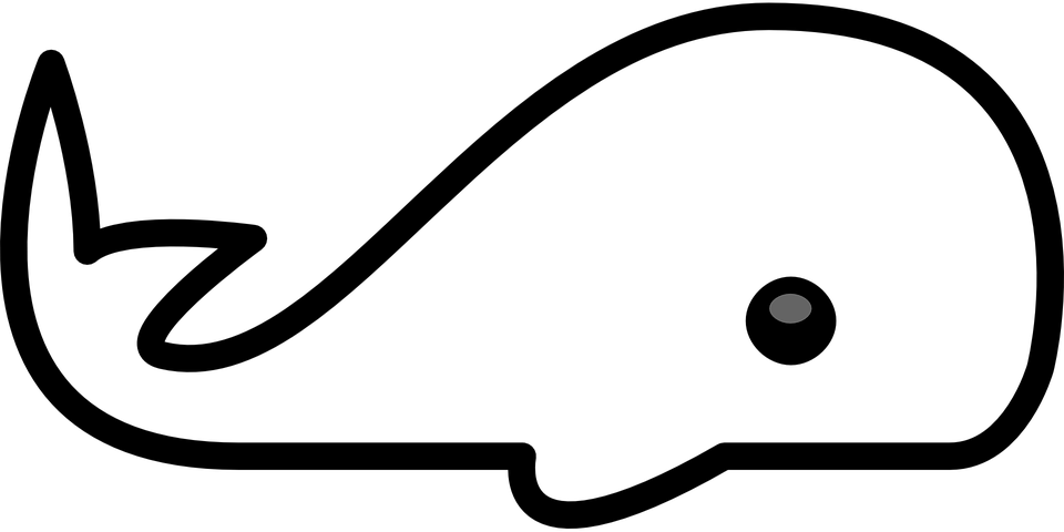 Animal Outline (960x480)