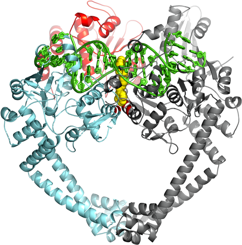The Structure Was Published In The Journal Nature - Graphic Design (881x991)