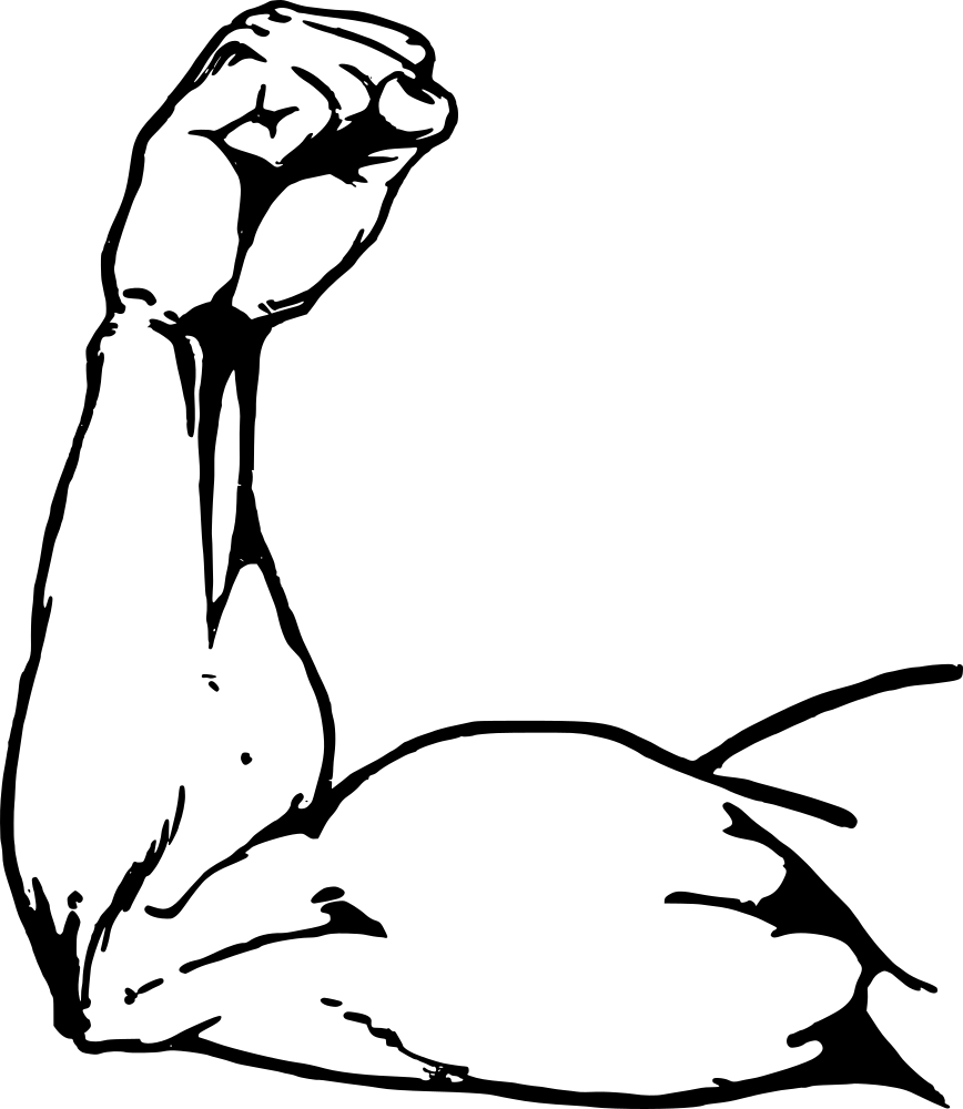 Muscle Arm - Muscle Arms Drawing (868x1000)