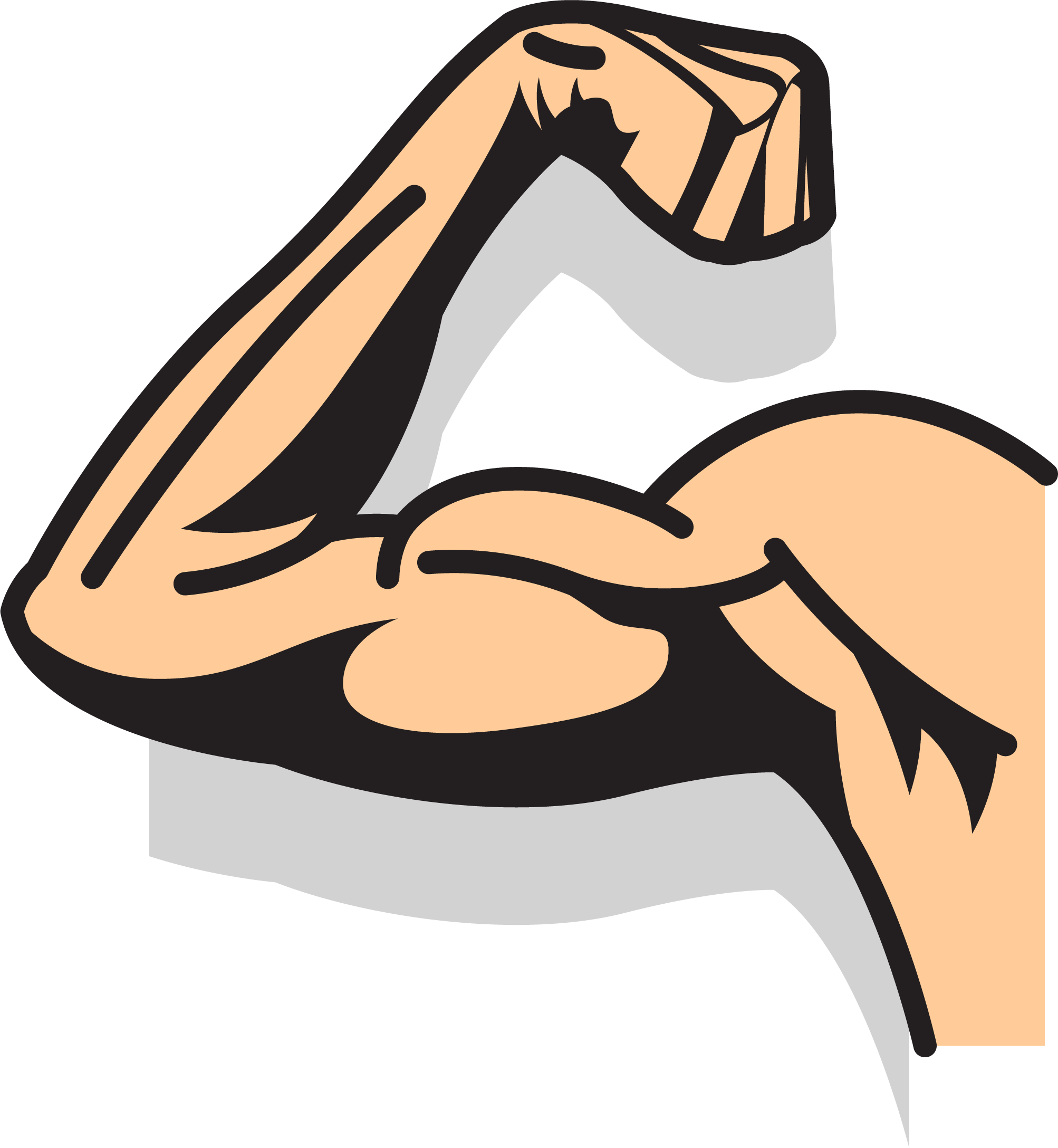 Drawing Logo Illustration - Strong Arm Drawing Png (2006x2176)