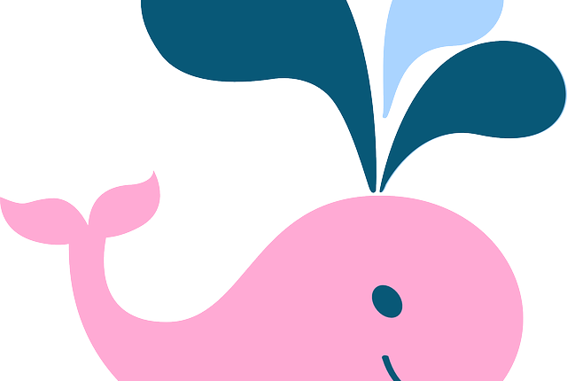 Pink Whale (640x430)