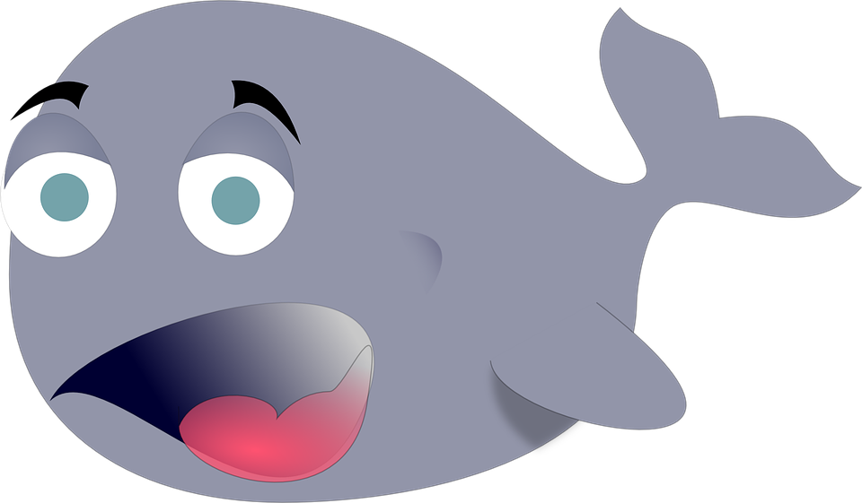 Pink Whales Cliparts 5, Buy Clip Art - Funny Whale (960x561)