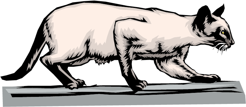 Siamese Cat Persian Cat Kitten Dog Clip Art - Siamese Cat Persian Cat Kitten Dog Clip Art (842x596)