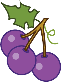 Seedless Fruit (360x360)