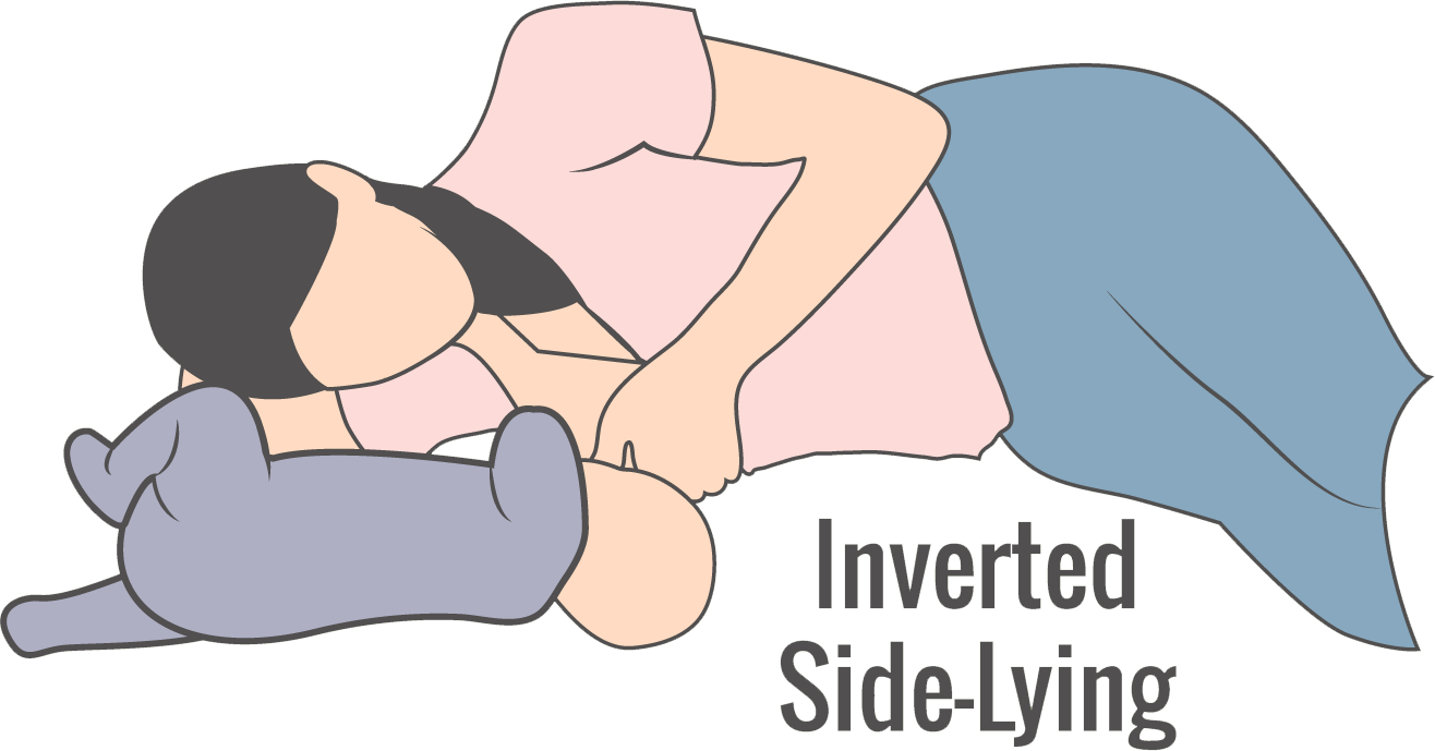 Illustration Of Inverted Side-lying Breastfeeding Hold - Breastfeeding Positions Inverted Side Lying (1316x689)
