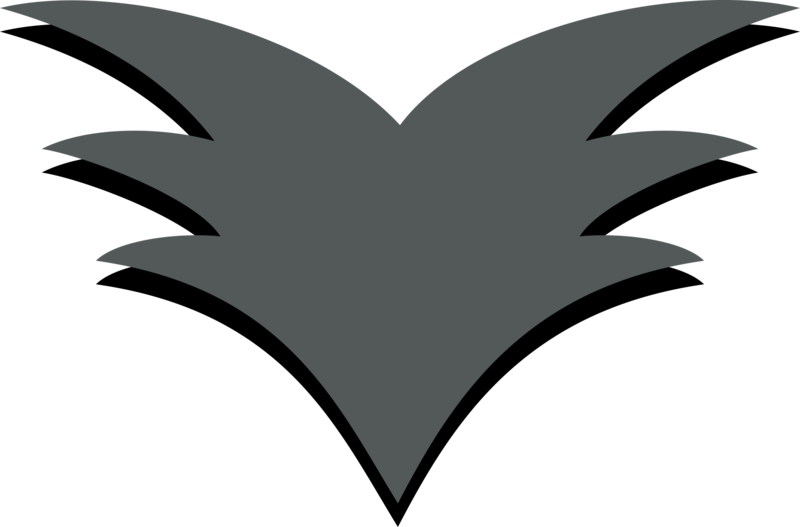 Austin Crossfit Design - Emblem (800x527)