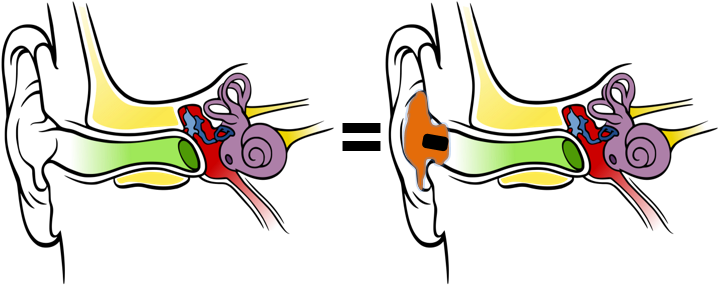 The Subjective Listening Impressionis Supposed To Be - Anatomy Of The Human Ear (776x320)