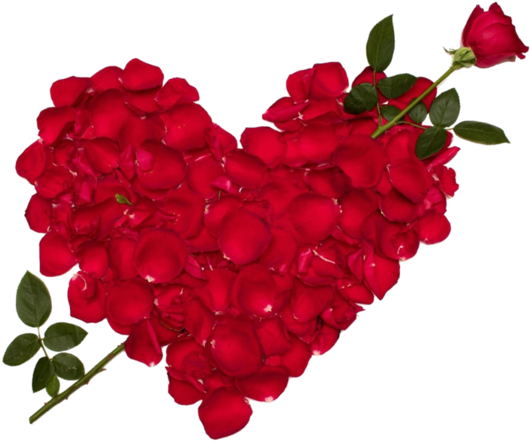 Rose Petal Heart With Arrow Photo - Love Rose Flower (600x450)