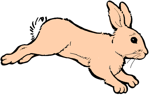 Bunny To A Random Session - Free Colouring Pages Rabbits (600x383)