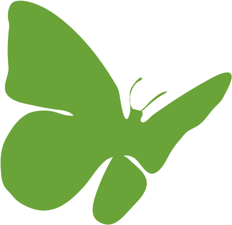 Our Promise - Butterfly (491x491)
