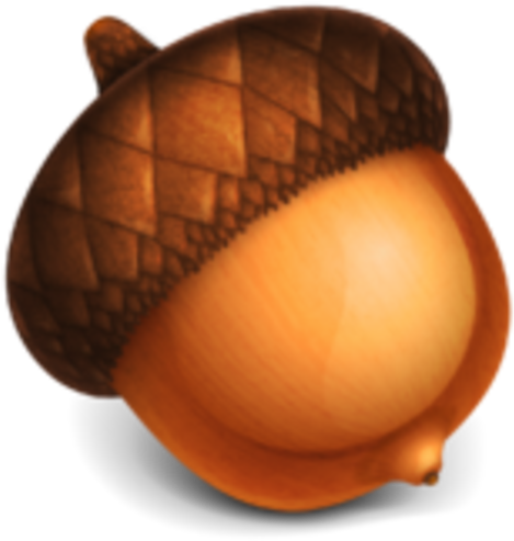 Acorn Drawing - Acorn Png (535x535)