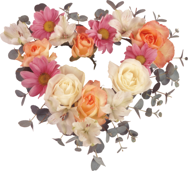 All These Pictures Are Attractive And Fabulous - Roses (600x547)