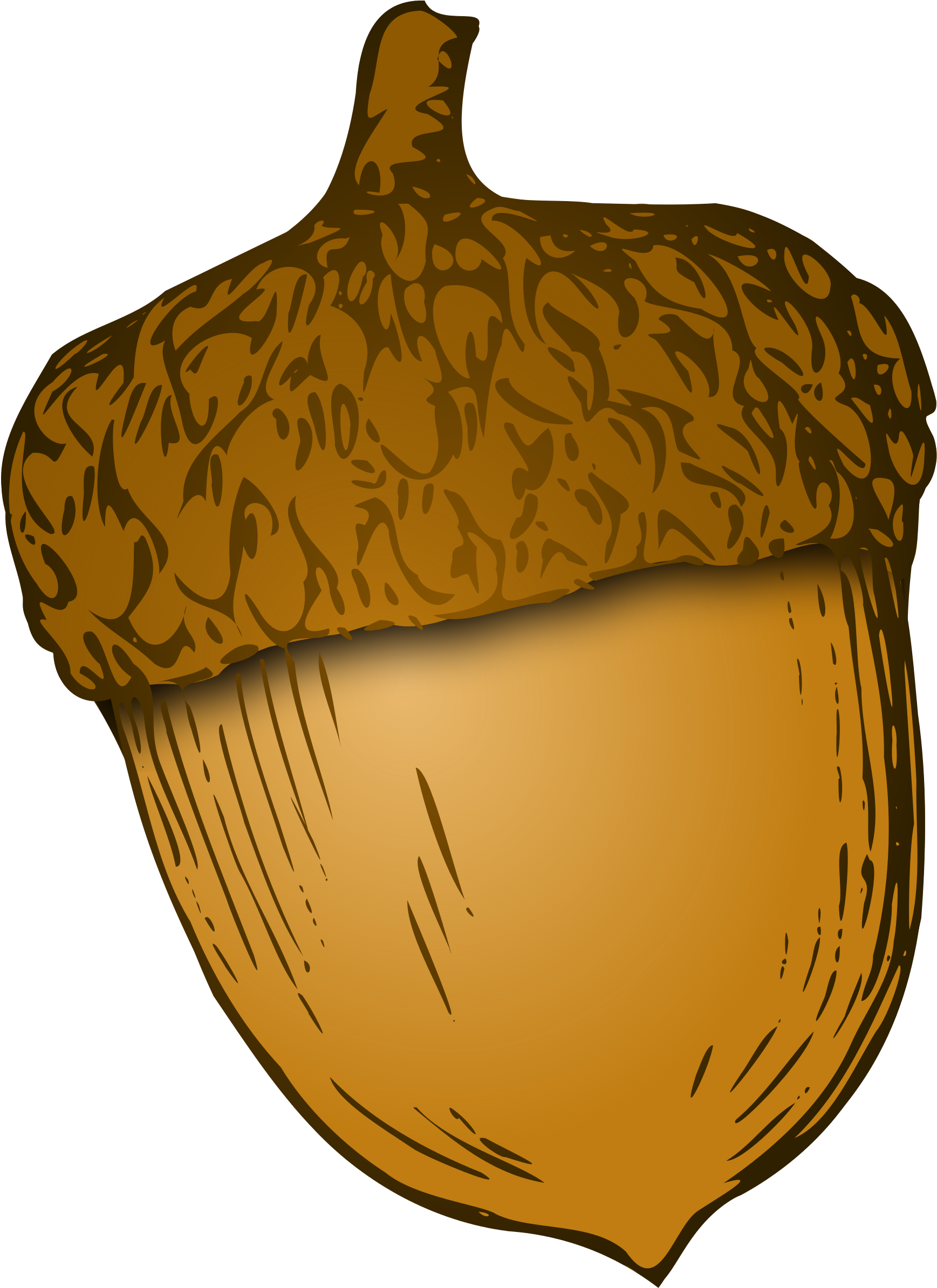 Acorn Clip Art 9, - Acorns Clip Art (2000x2609)