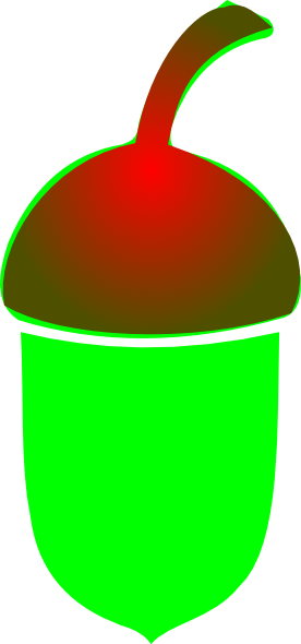 Acorn Png Clip Arts - Acorn Clip Art (276x590)