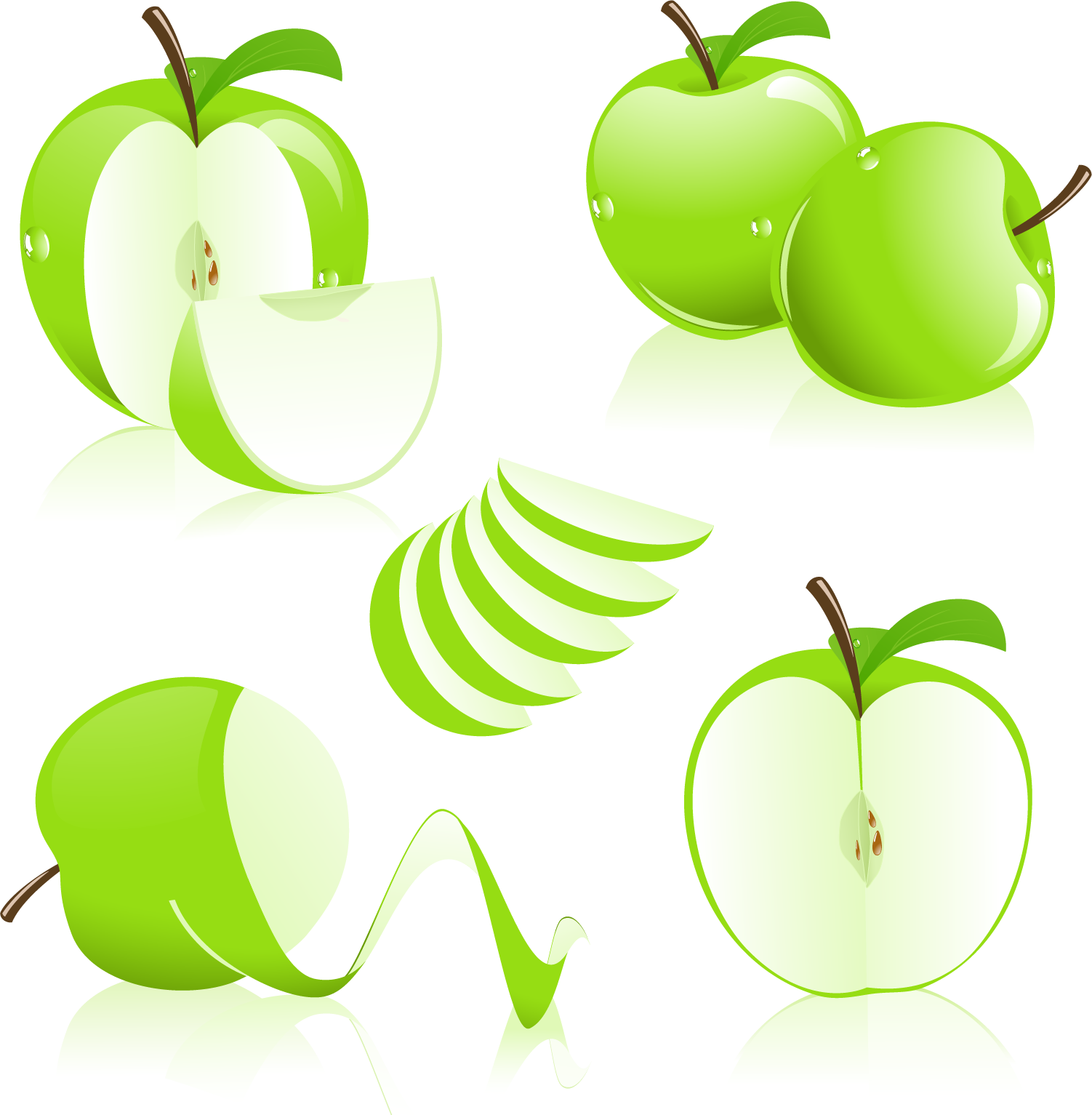 Apple Graphic Design Clip Art - Apple Graphic Design Clip Art (1502x1533)