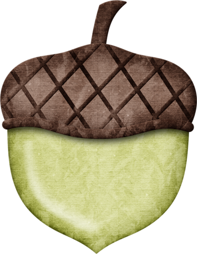 Jss Almostfall Acorn 5 - Acorn (387x500)