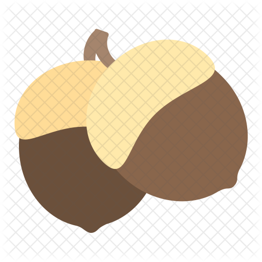 Acorn Icon - Illustration (512x512)