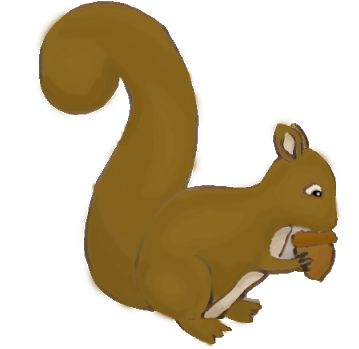 Mmm - Acorn - Fox Squirrel (512x384)