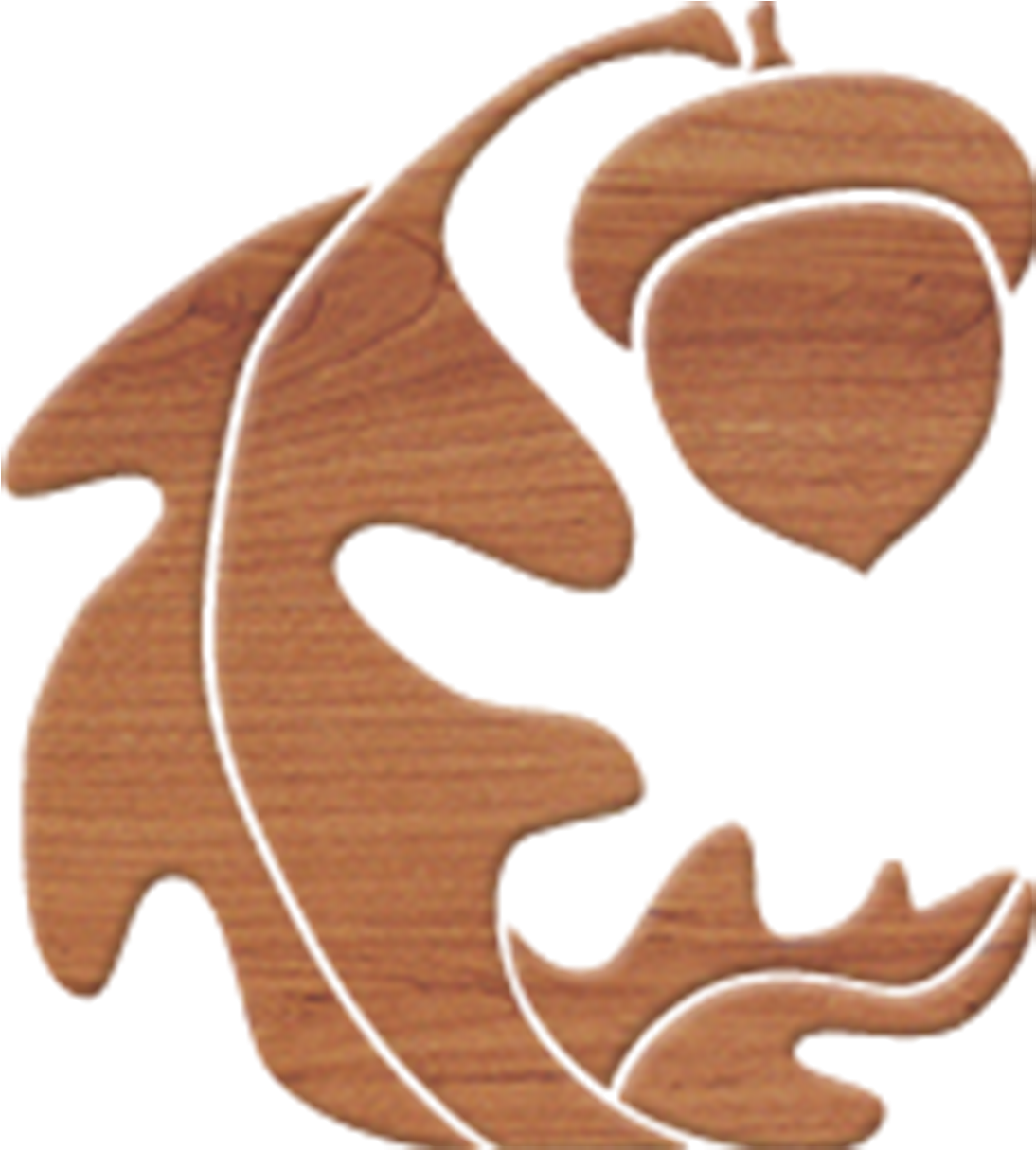 Acorn-wood Background - Plywood (1100x1221)