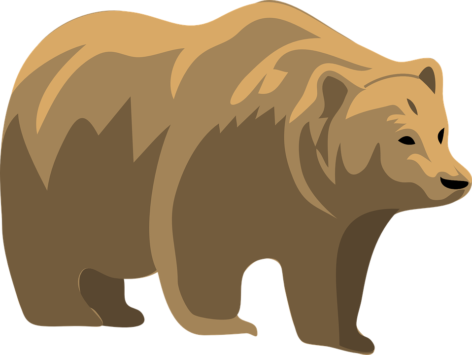 Free Architetto Orso 12 - Grizzly Bear Clipart (958x720)