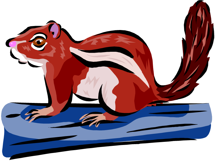 Chipmunk Clipart - Squirrel (750x563)