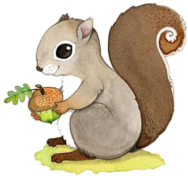 Ecureuils - Woodland Animals Illustration (564x594)