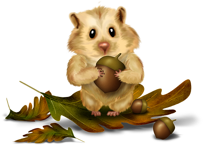 Chipmunk - Hamster (720x492)