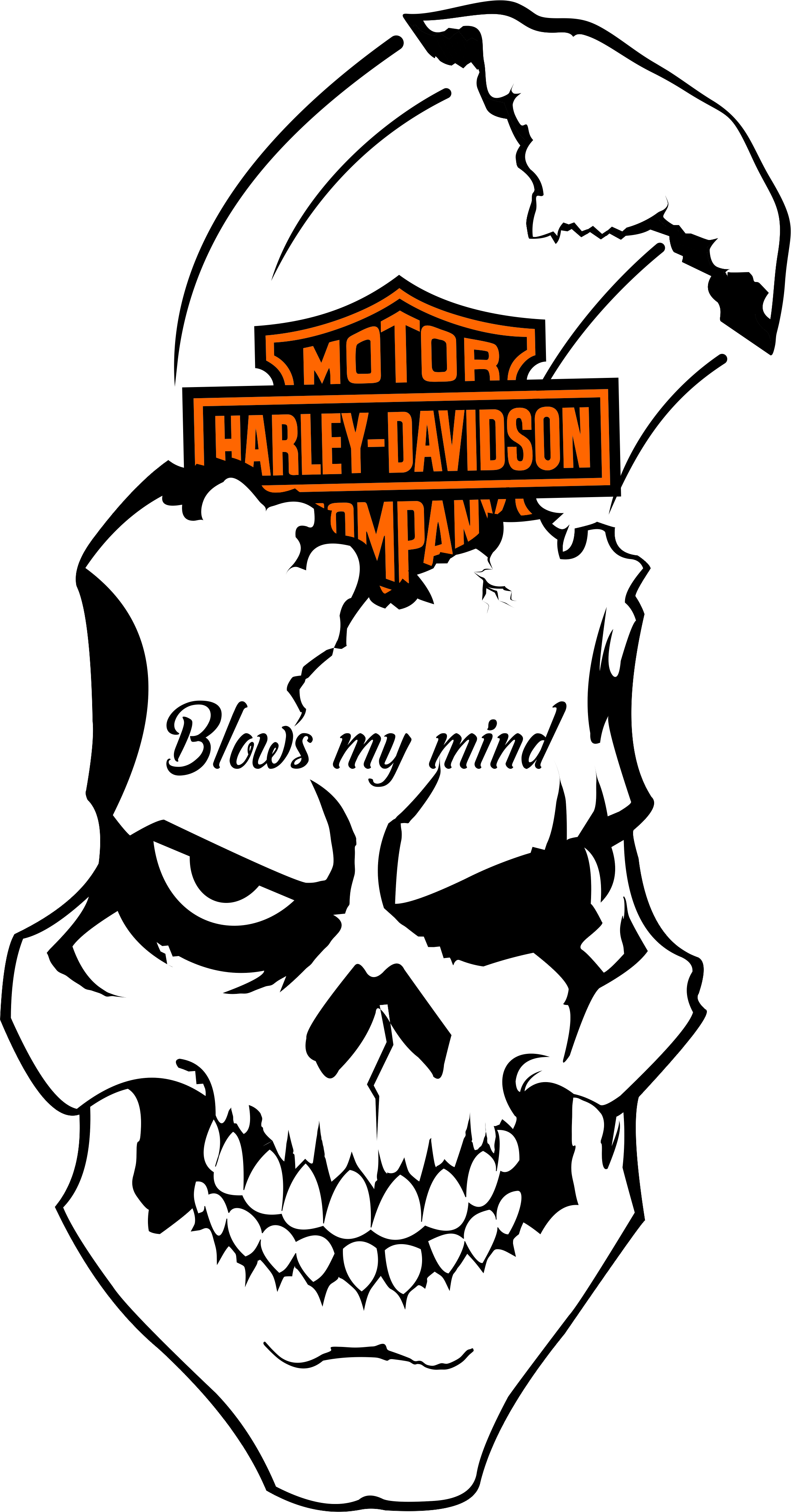 Two Wheels Move The Soul - Harley Davidson (2069x3957)