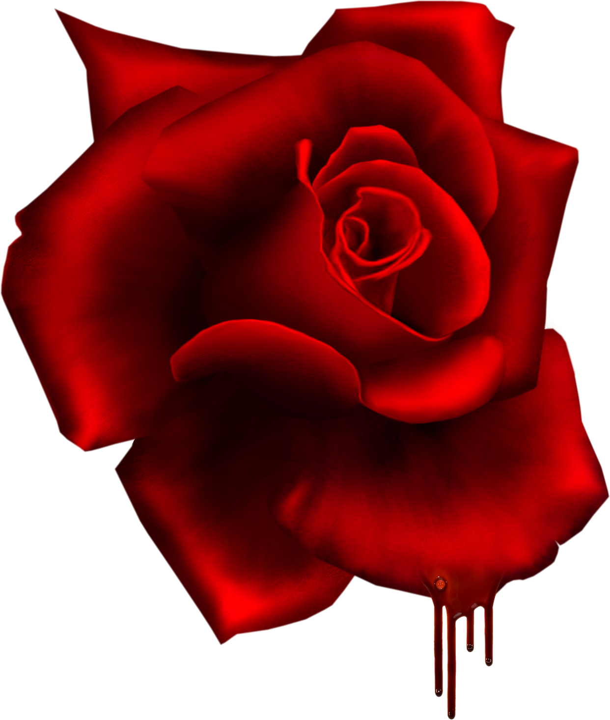 Render Rose Terreur Rouge Sang Nature Autresinconnu - Floribunda (1242x1466)