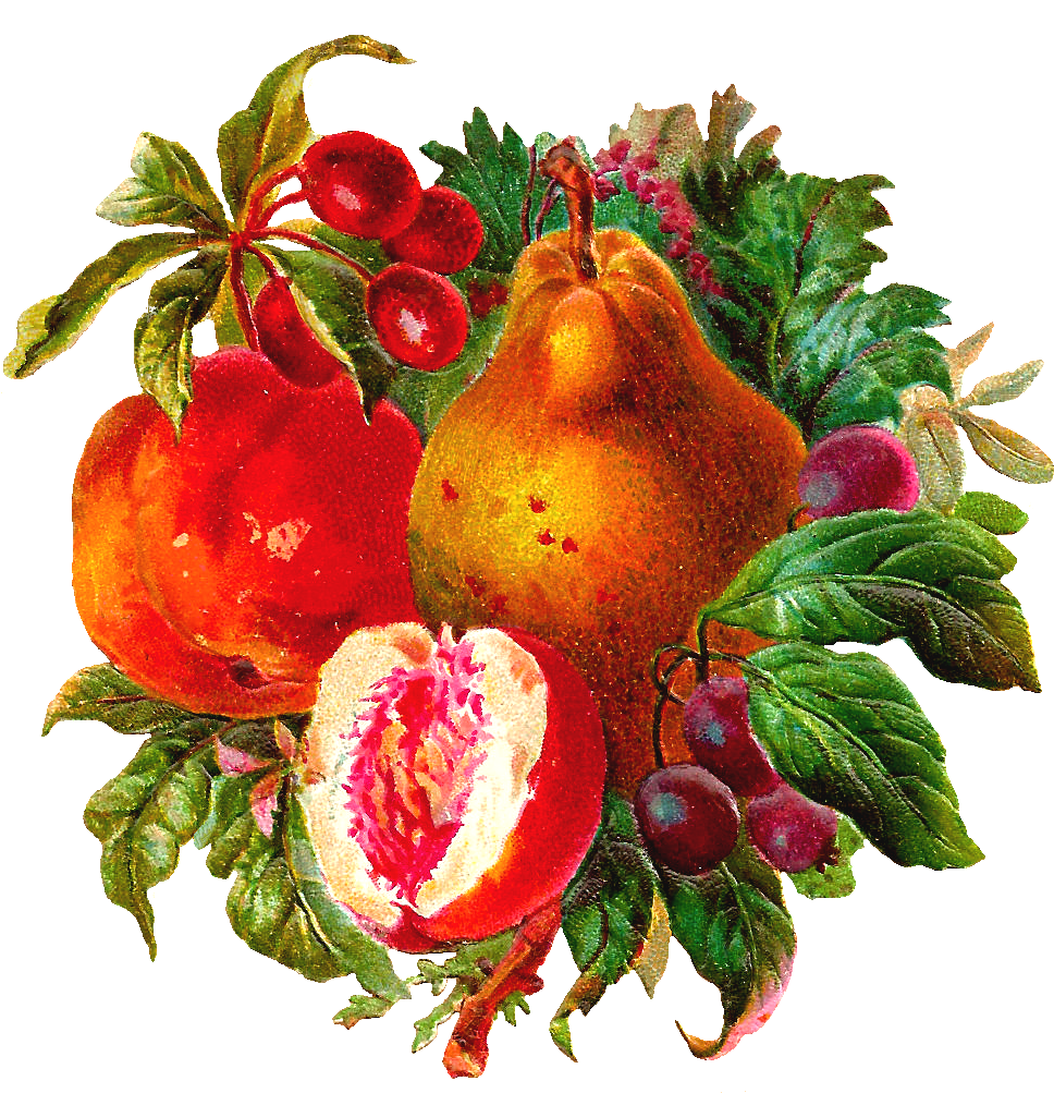Free Digital Fruit Clip Art - Book (1226x1203)