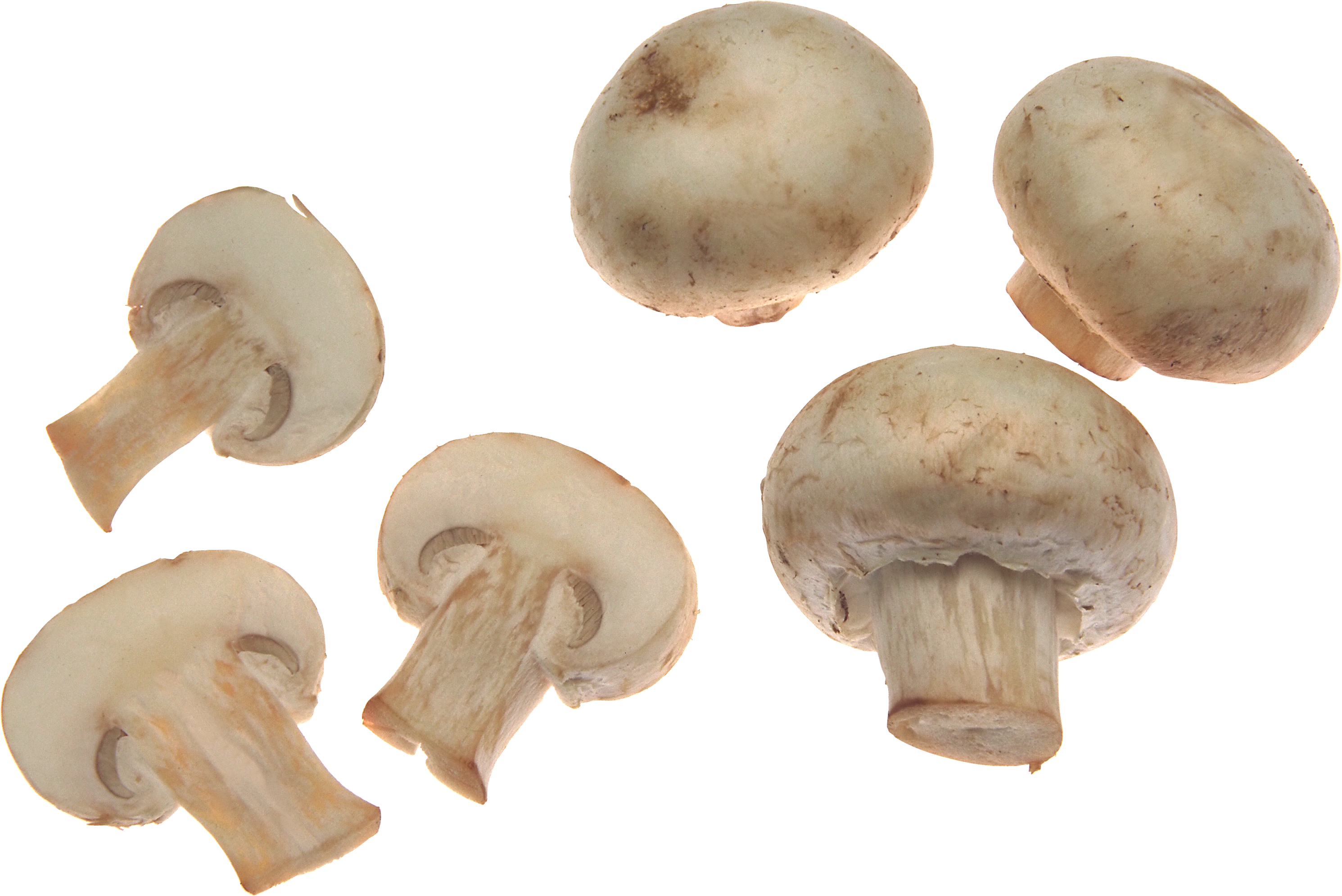 Mushroom Food Png (2981x1990)