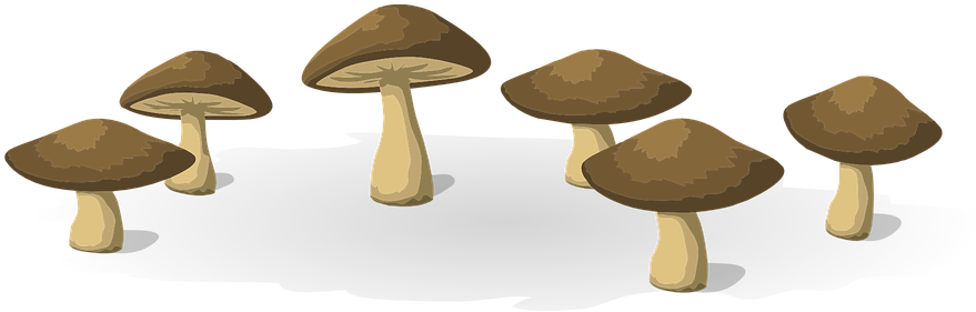 Sliced Mushroom Cliparts 28, Buy Clip Art - Vegetarian Cuisine (960x480)