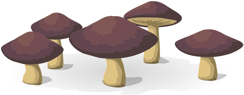 Sliced Mushroom Cliparts 25, Buy Clip Art - Vegetarian Cuisine (960x480)
