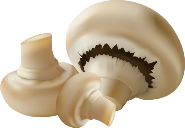 Mushroom Food Clipart - Mushroom Food Clipart (639x444)