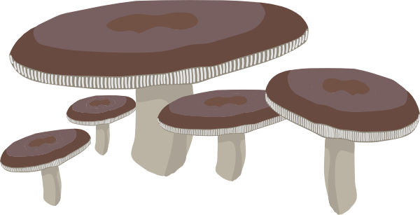 Mushroom Clipart Brown - Mushrooms Flat (600x307)