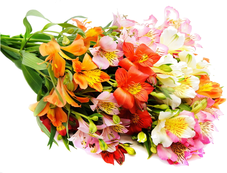 Flower Bouquet Cut Flowers Wedding Rose - Flower Bouquet Cut Flowers Wedding Rose (800x591)