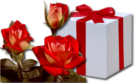 Cadeau - 禮物 (600x415)