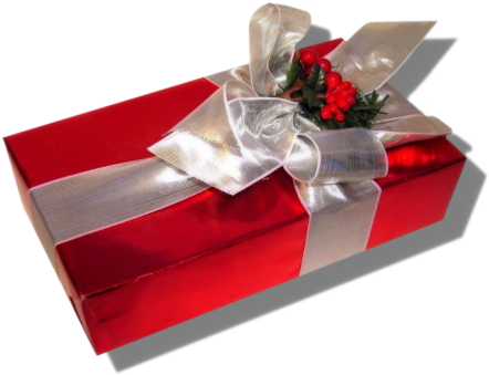 Noël - New Year Gift Gif (500x350)