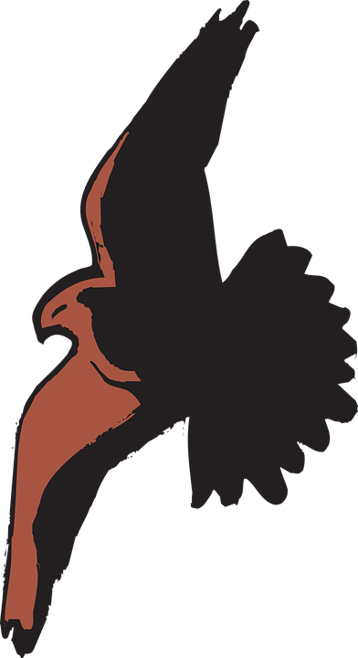 Hawk Clipart Bird Shadow - Cartoon Hawk Flying (392x720)