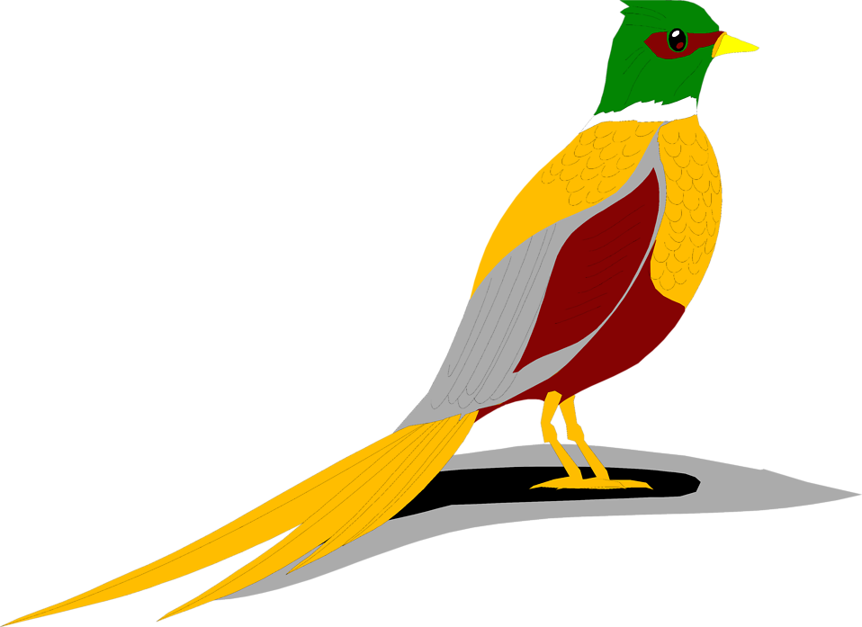Silhouette Bird - Ring Necked Pheasant Clip Art (958x697)