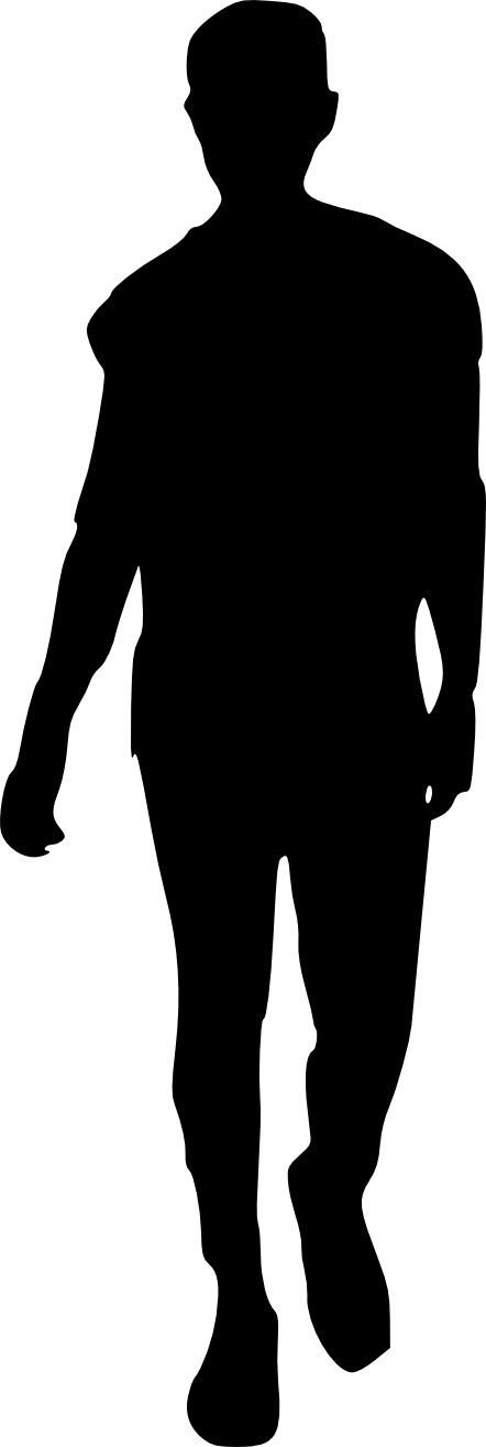 Free Download - Human Silhouette Human Png (442x1314)
