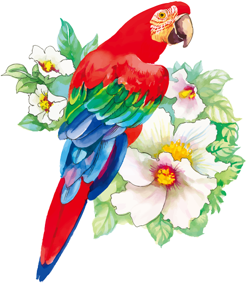 Bird Flower Drawing Watercolor Painting - Watercolor Drawings Of Flowers (750x571)