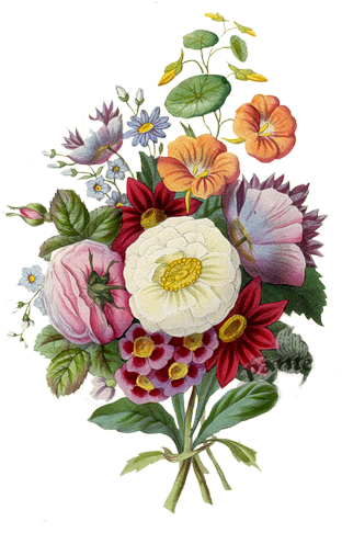 Botanical Prints, Fruit Prints, Flower Prints, Fruit - Buyenlarge 04351 2cg12 Floral Wish 12 Quot X 18 Quot (313x500)